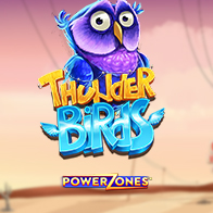 Power Zones Thunder Birds